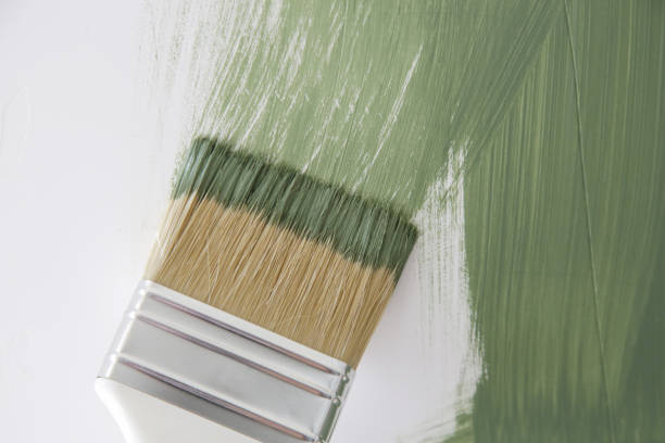 Best Mold Remediation for Vacation Homes  in Vanceburg, KY