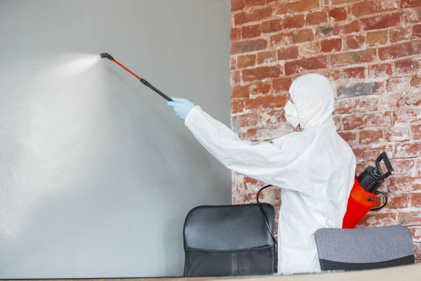 Best Mold-Related Health Consultation  in Vanceburg, KY