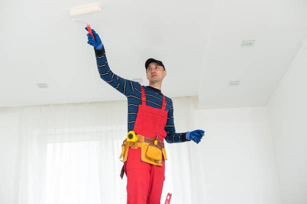 Best Attic Mold Removal  in Vanceburg, KY