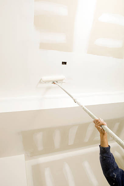 Best Environmental Consulting for Mold Prevention  in Vanceburg, KY