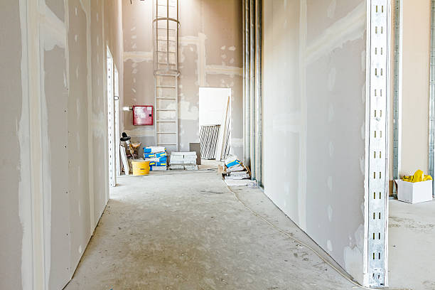 Best Air Quality Testing for Mold Spores  in Vanceburg, KY